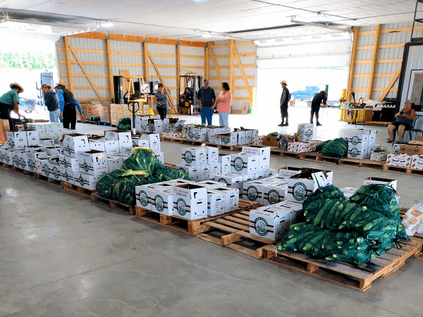 Hostetler Auction Service