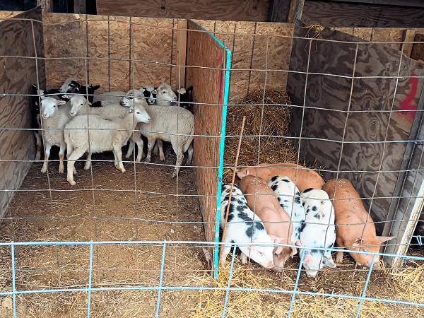 Farm Auctions at Hostetler Auction Services Farm Auctions at Hostetler Auction Services
