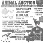 12th Annual Saint Charles Animal Auction